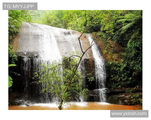 深圳攀岩队的区域防守策略与深度分析探秘之旅